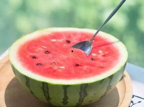 娱乐吃瓜酱的模板怎么做,明星们的幕后故事与热点事件大盘点